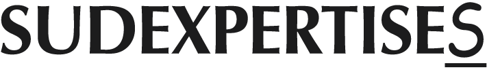 Logo Sudexpertise